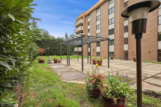 Rear patio