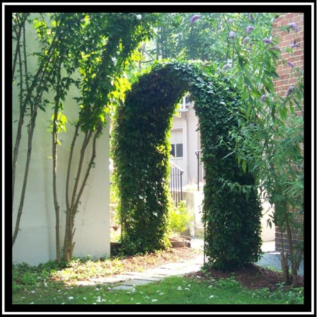 Backyard Arbor