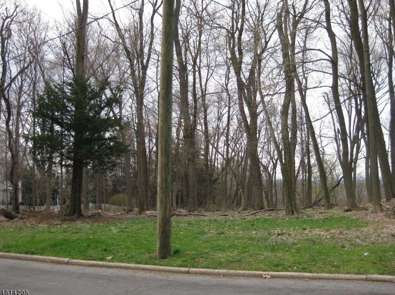 Summit NJ Lot For Sale