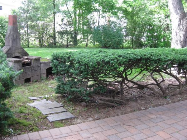 Backyard patio