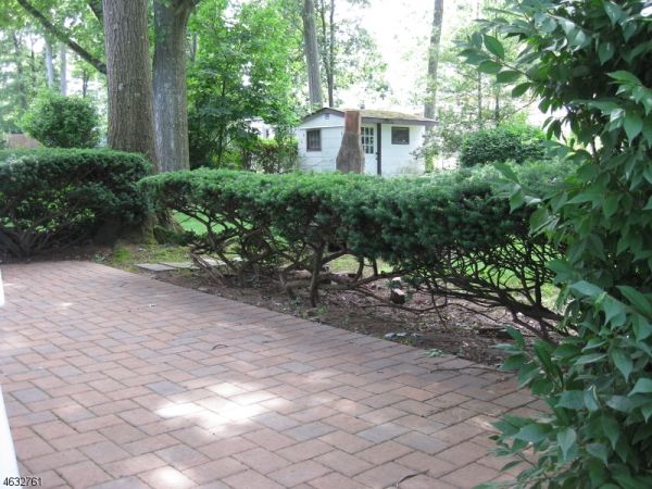 Patio in Backyard