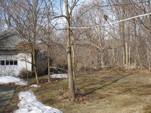 Backyard with Garage