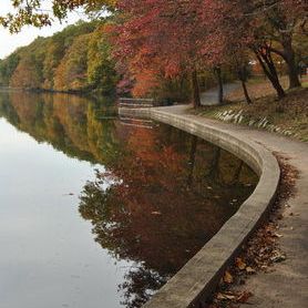 Mountainside pond