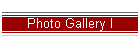 Photo Gallery I