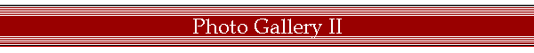 Photo Gallery II