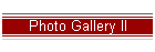 Photo Gallery II