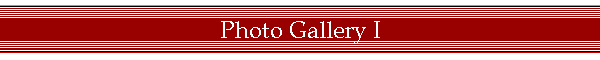 Photo Gallery I
